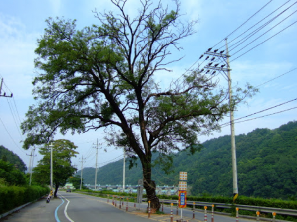 f9e3a36259488d31fdf150ccc1ab536c_1616389834_7236.png